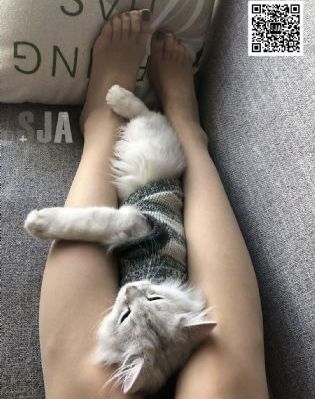 锦绣南歌免费观看全集_免VIP免费在线观看