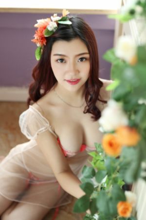 复仇 电视剧_1080PHD在线观看